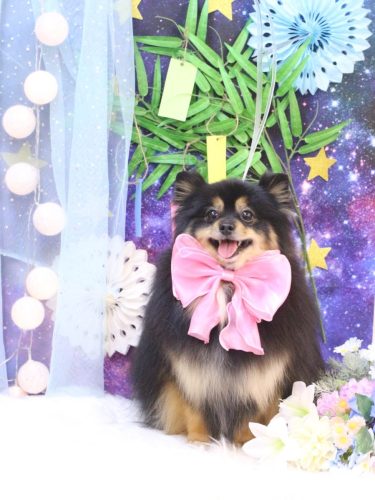 20250704アンバーちゃん